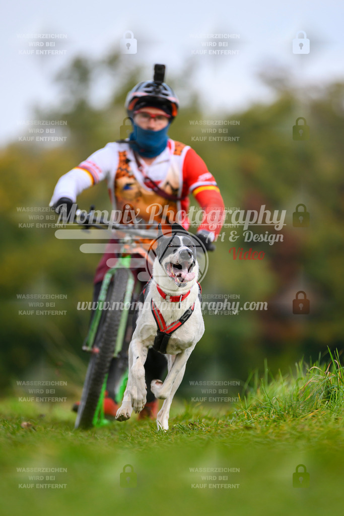 MompixPhotography_CDLBDB2025_DI_DS-62 | PayLife