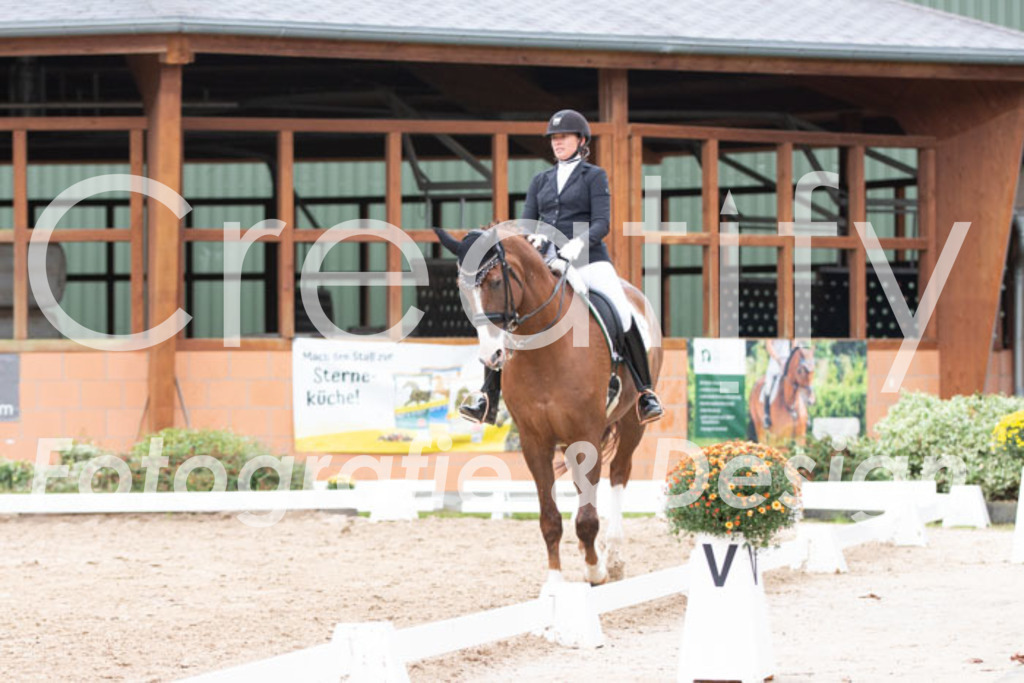 IMG_7247 | Creatify Fotografie