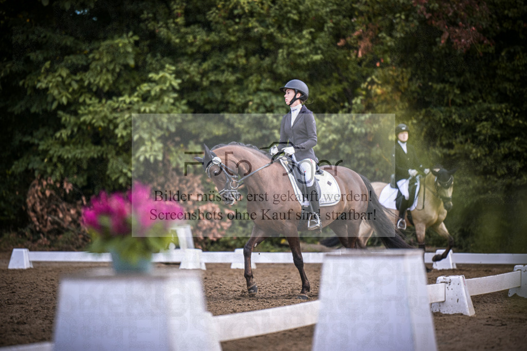 DOS_2221 | Entdecke hochwertige Reitturnierfotos von Foto Oger. Professionell, emotional und authentisch – jetzt Lieblingsmomente im Shop bestellen.Deutschlandweite Turnierfotografie. - Realisiert mit Pictrs.com