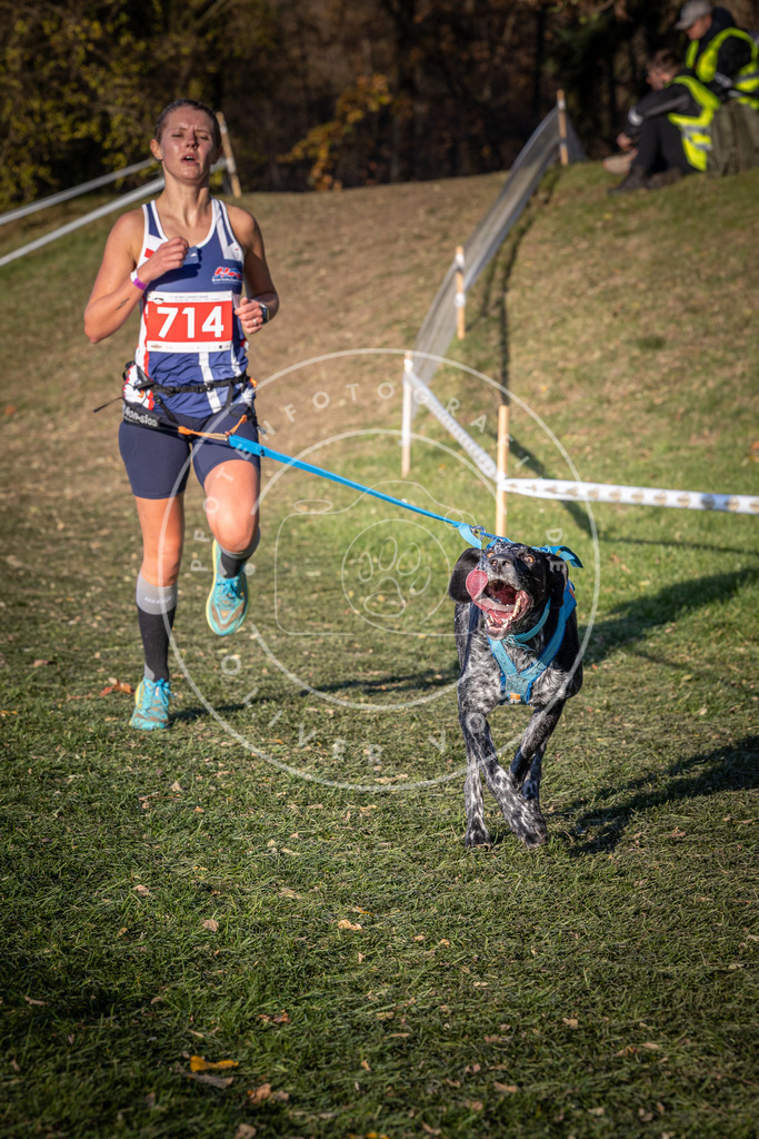CaniXpix_0L8A9542 | Hundefotografie, Tierfotograf, Pfotenfotografie, Fotoshooting Hund, Hunde Portrait, Hundesport, Hundeportraits, Heideshooting, Hunde, Sportfotograf, Hundefotograf, Turnierhundsport, THS,  - Realisiert mit Pictrs.com