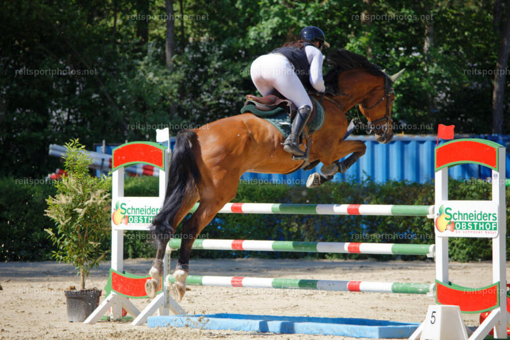 JHE_3403 | JoYa Fotografie - Realisiert mit Pictrs.com
