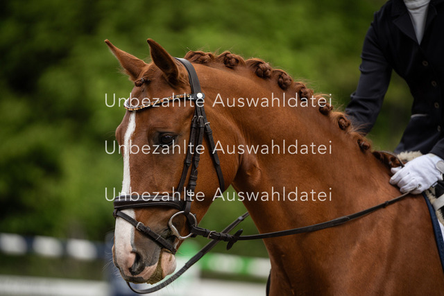 Bad_Meinberg_04190 | saradresslerfotografie - Realisiert mit Pictrs.com