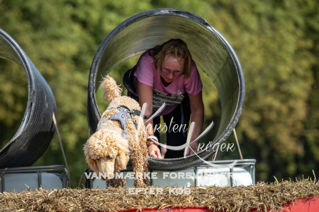 1302_ZZ91759 | kk-dogfotos