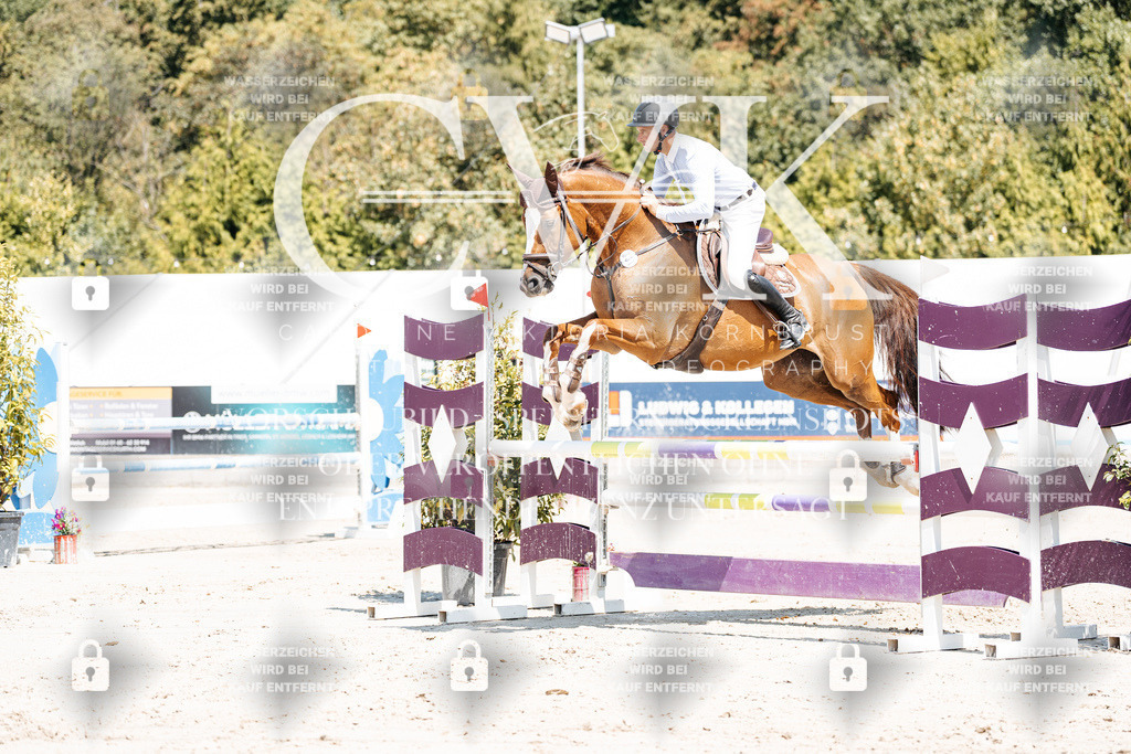 CK900193 | Turnierfotografie Pferdefotografie Trier Rheinland-Pfalz Pferdesport Reitsport Tierfotografie Sportfotografie Pferdevideo Pferdevideografie Equestrianvideography equestrianphotography  - Realisiert mit Pictrs.com