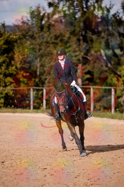 2026_10_03_Siefer-Hof_154201_Z81_59600026 | Professionelle Reitsport-, Turnier- und Eventfotografie von Robert Broda. Galerien mit ausgewählten und bearbeiteten Bildern direkt online ansehen und bestellen.