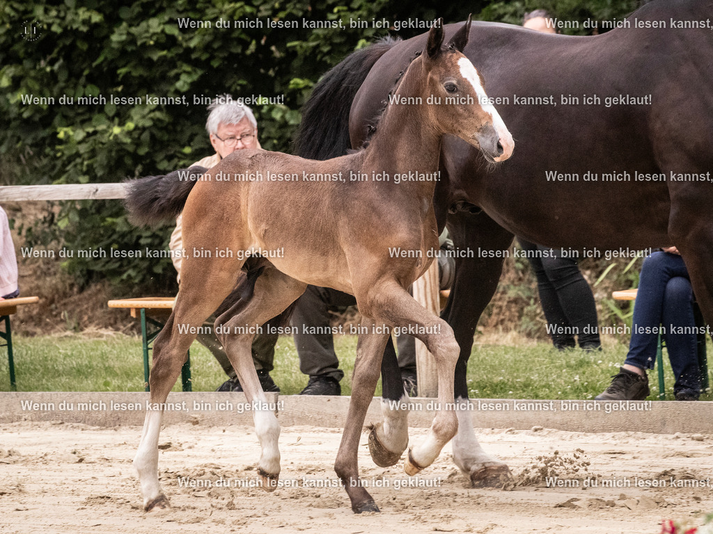 A10I9601 | photographylinaismer - Realisiert mit Pictrs.com