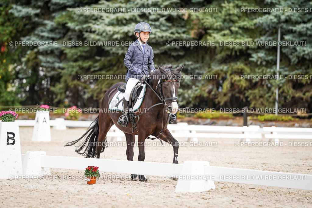 DSC02789 | Pferdegrafie