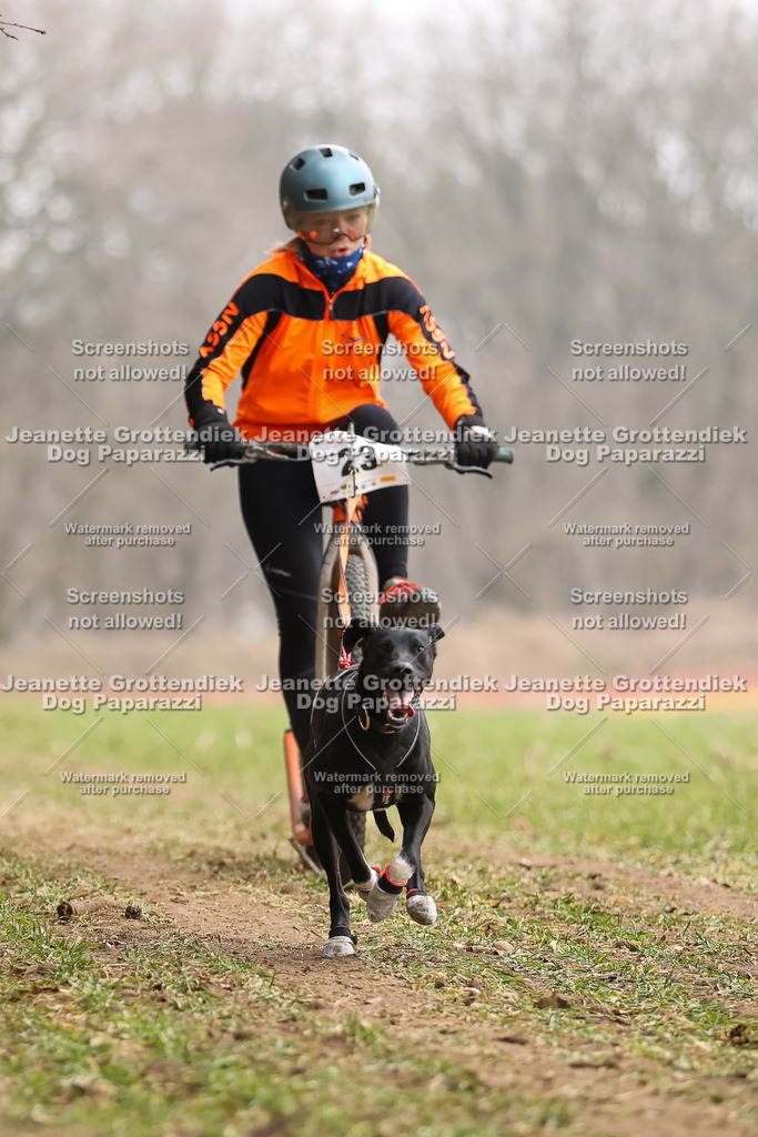 Dog Paparazzi - Plate 2026-79 | Dog Paparazzi Jeanette Grottendiek Fotografie & Videografie - Realisiert mit Pictrs.com