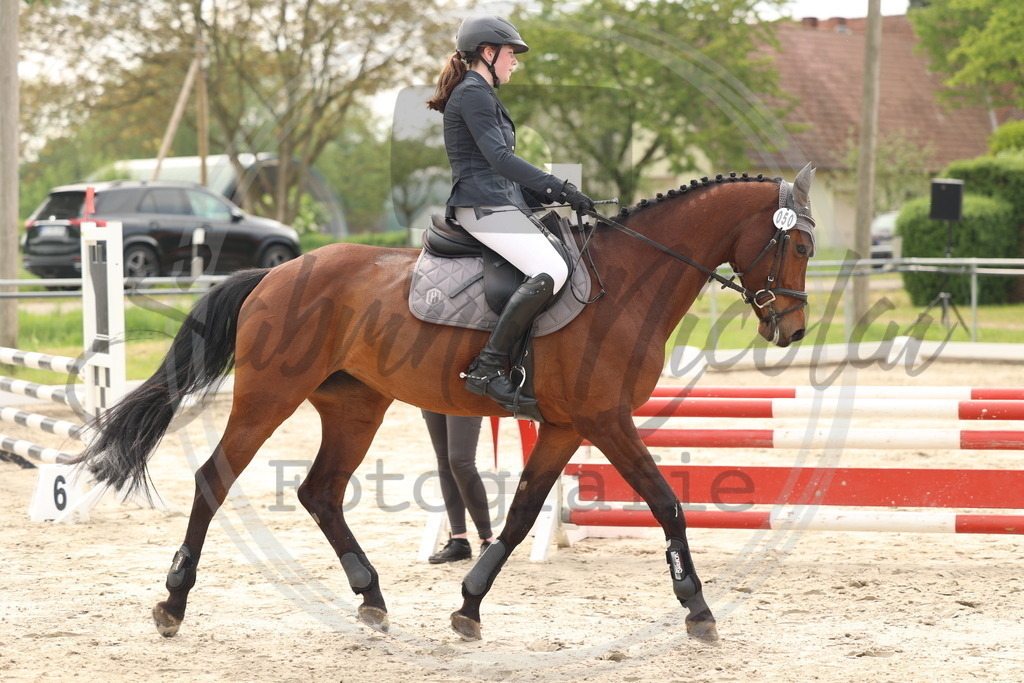 994A7569 | sabrinanicolaifotografie - Realisiert mit Pictrs.com