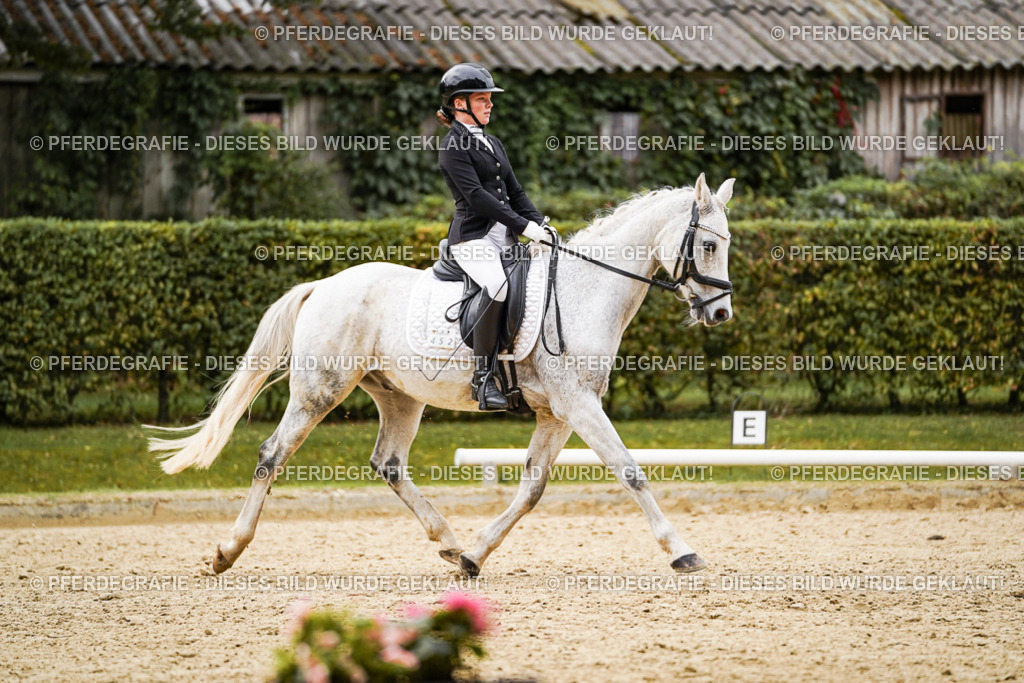 DSC07762 | Pferdegrafie