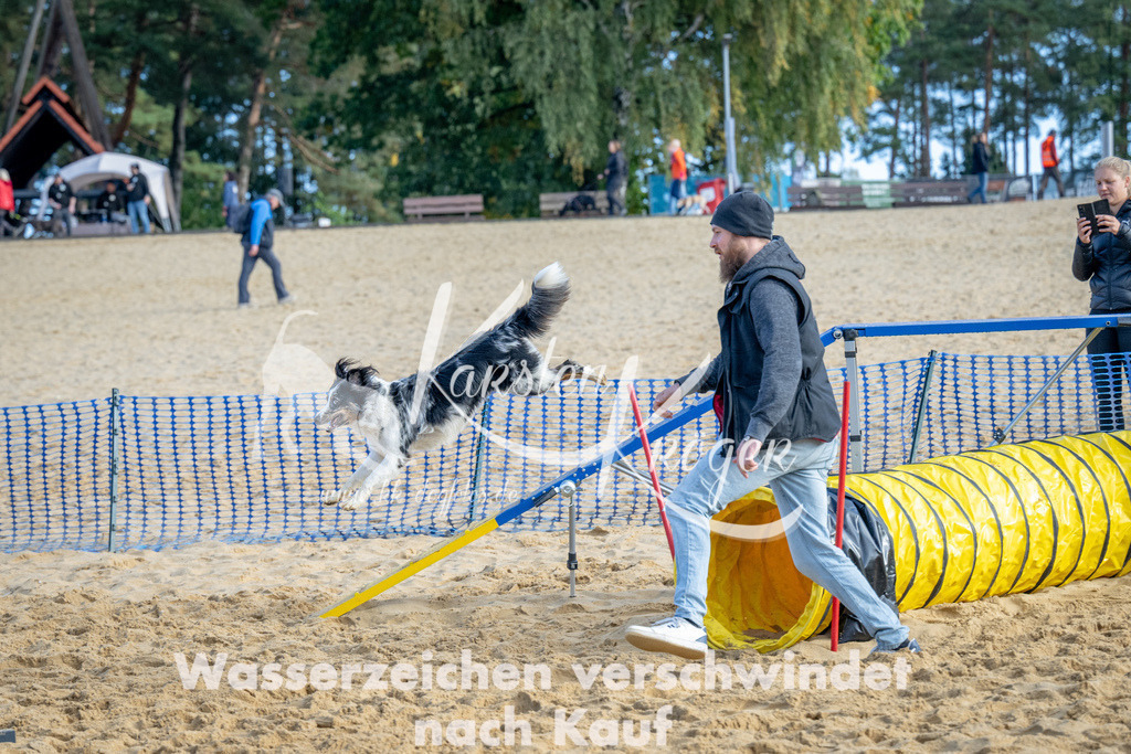 0958_ZZ93241 | kk-dogfotos