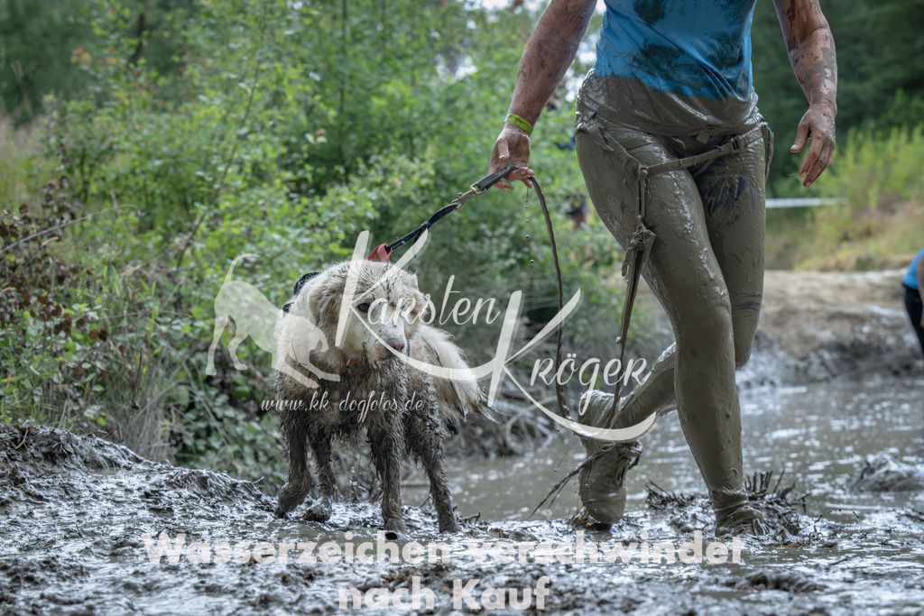 1413_ZZ91879-Verbessert-RR | kk-dogfotos