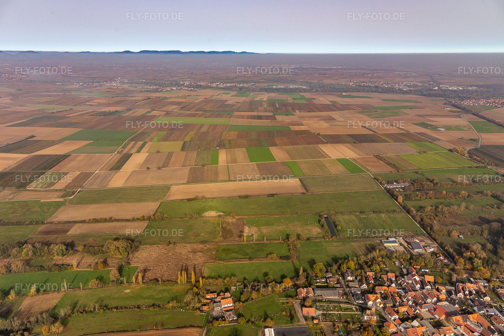 Luftbild: Flutgraben zwischen Winden und Mühlhofen im Ortsteil Mühlhofen in Billigheim-Ingenheim im Bundesland Rheinland-Pfalz in Deutschland. Foto: IMG_123829.jpg vom 07.11.2020 durch Werner Riehm/FLY-FOTO.de