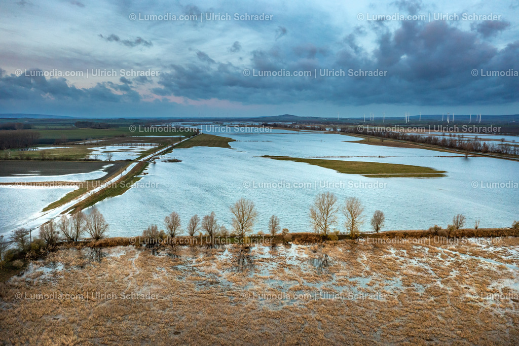 10049-51800 - Hochwasser im Großen Bruch | Stockfoto und Bilderpool mit Bildmaterial aus Deutschland, dem Harz, Halberstadt, Quedlinburg, Wernigerode und weltweit. Qualitativ hochwertige und professionelle Fotos anschauen und kaufen. - Realisiert mit Pictrs.com
