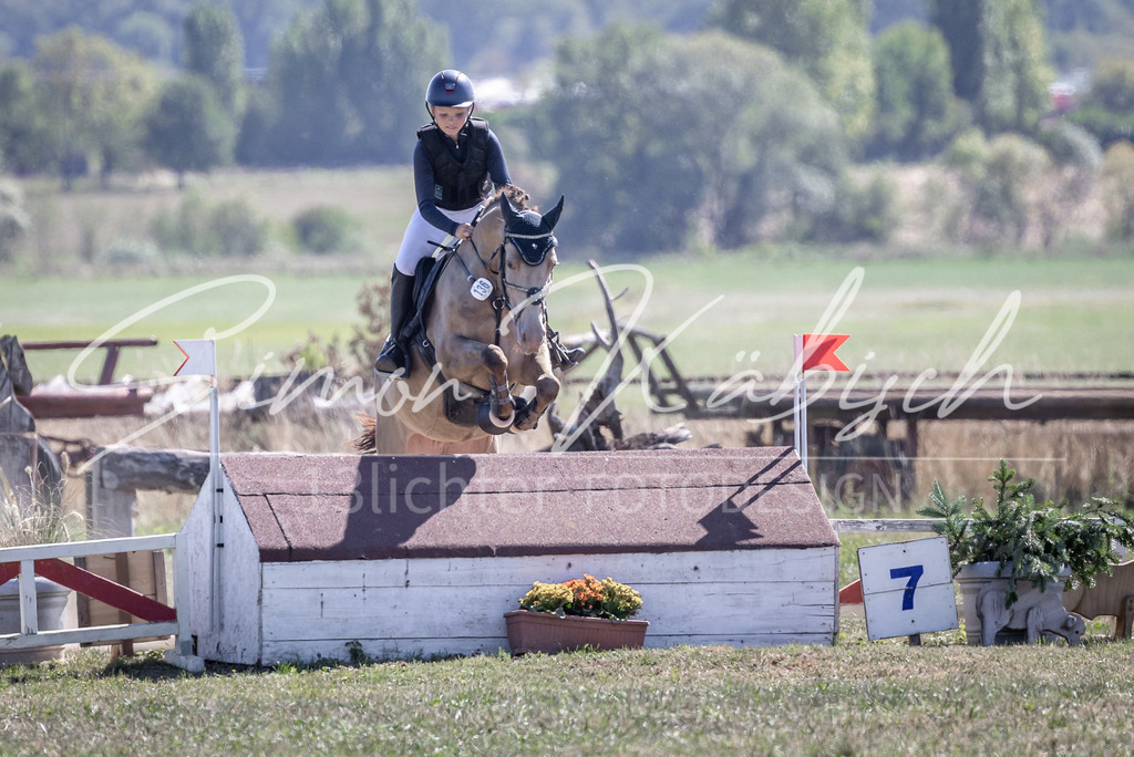 20260906-_3LI4379 | Tierfotografie Pferde, Hunde, Katzen, Haustiere.
Turnierfotografie Reitturniere, Reiten, Springreiten, Dressur in Hanau, dem Main-Kinzig-Kreis und dem Rhein-Main- Gebiet um Frankfurt