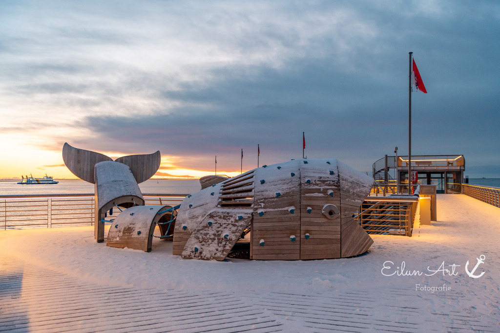 20260103-EAF_7982-2 | Eilun-Art-Fotografie Levke Martens, ihre Fotografin für Immobilien- und Landschaftsfotografie auf Föhr, Föhrer Motive als Poster, Leinwand, hinter Acrylglas oder stelle dir deinen eigenen Monatskalender zusammen, mit nur einem Klick