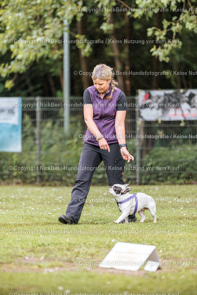 RO-Blumenthal-2026-Nickbest-Hundefotografie-0039 | Dein Hund! Dein Moment! Deine Erinnerungen! Hundefotografie in Bremen Blumenthal. Ich fange die besonderen Momente deines Vierbeiners ein – ob Indoor mit Blitzanlage oder in der freien Natur. Sicher dir dein Moment und dein Termin für eure Erinnerungen.