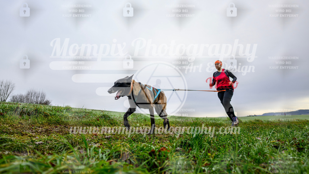 MompixPhotography_Staufertrail2024_SO_Canicross-14 | PayLife