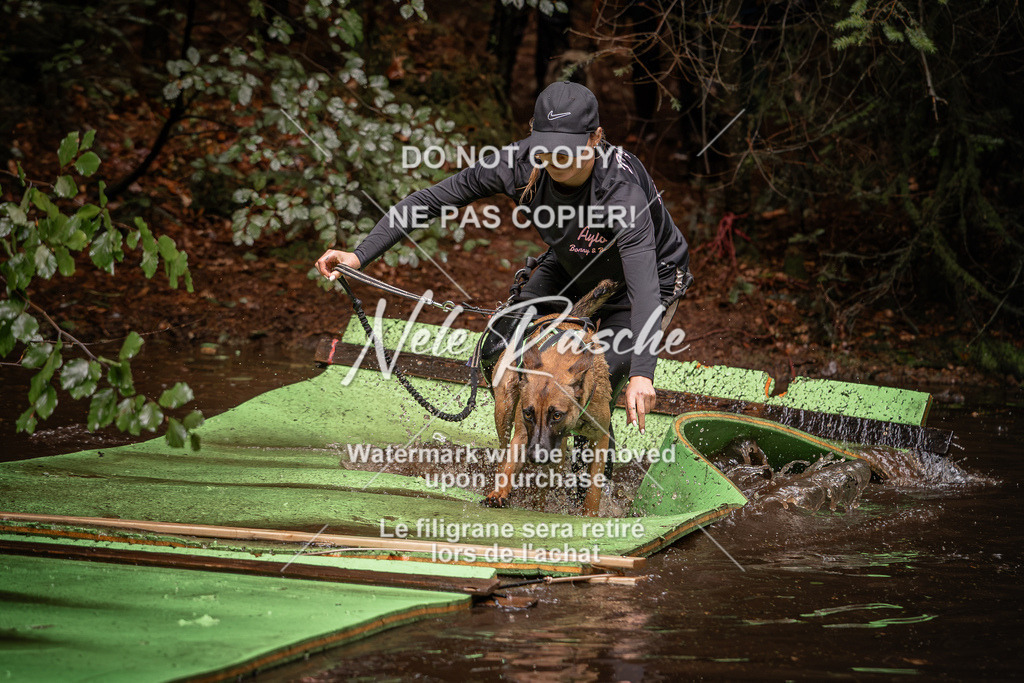 nelerasche_Wingst_Sa1330-1400_76 | nelerasche