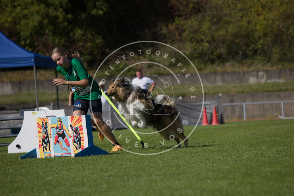 0L8A7698 | Hundefotografie, Tierfotograf, Pfotenfotografie, Fotoshooting Hund, Hunde Portrait, Hundesport, Hundeportraits, Heideshooting, Hunde, Sportfotograf, Hundefotograf, Turnierhundsport, THS,  - Realisiert mit Pictrs.com