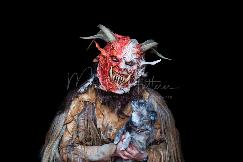 Schwarzer Hintergrund  | Schwarzer Hintergrund mit Hund und Pferd 