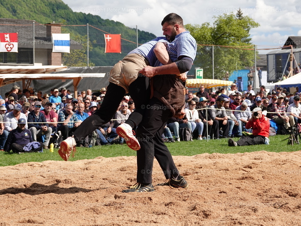 DSC07124 | Schwingen - Realisiert mit Pictrs.com