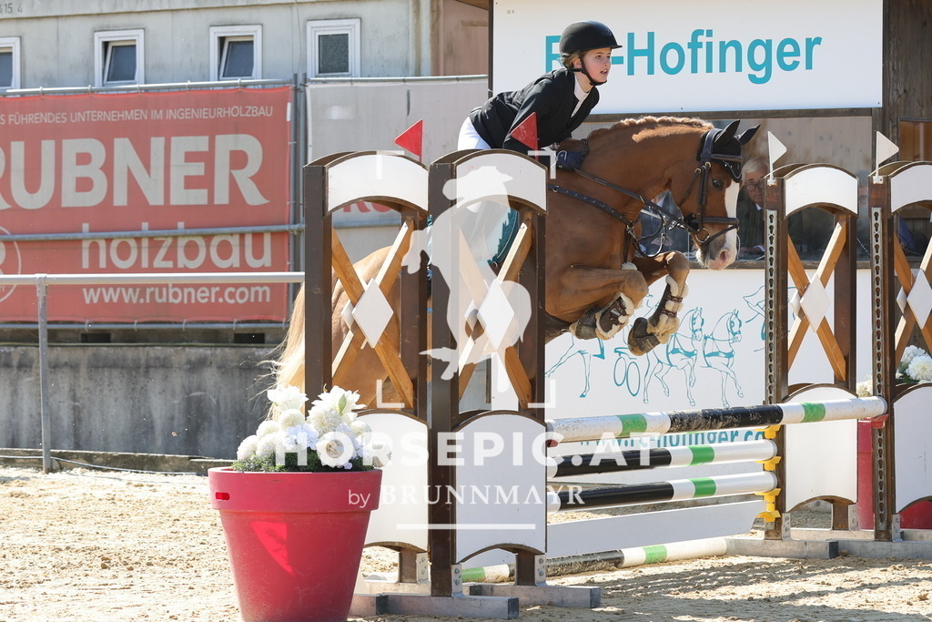 0P6A6607 | Willkommen bei Brunnmayr - Design & Fotografie – Ihrem Spezialisten für Reitturniere und Pferdeveranstaltungen in Oberösterreich, Salzburg und Bayern! Seit über 17 Jahren sind wir leidenschaftlich dabei.
