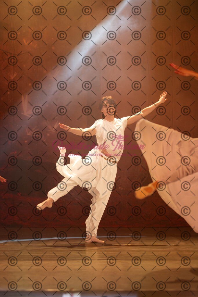 Ballettaufführung-1760 | Bildershop Lem'n Entertainment - Realisiert mit Pictrs.com