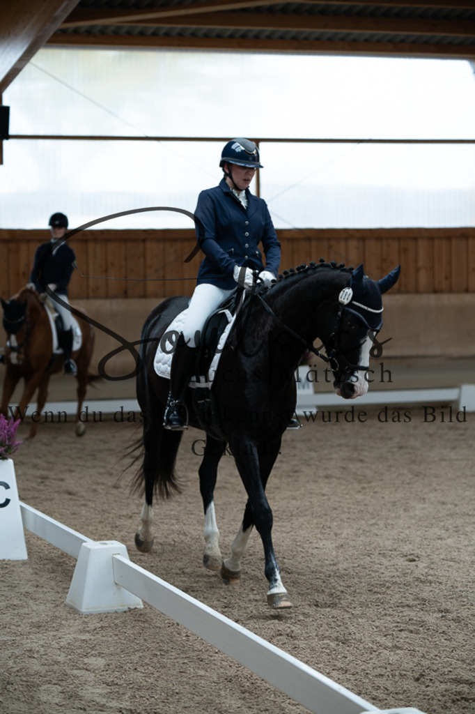 A7V02483 | Pferdefotograf