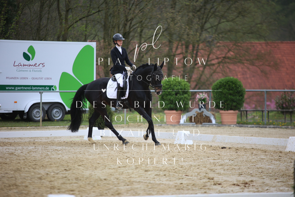 IMGT5948 | pl-fotografie