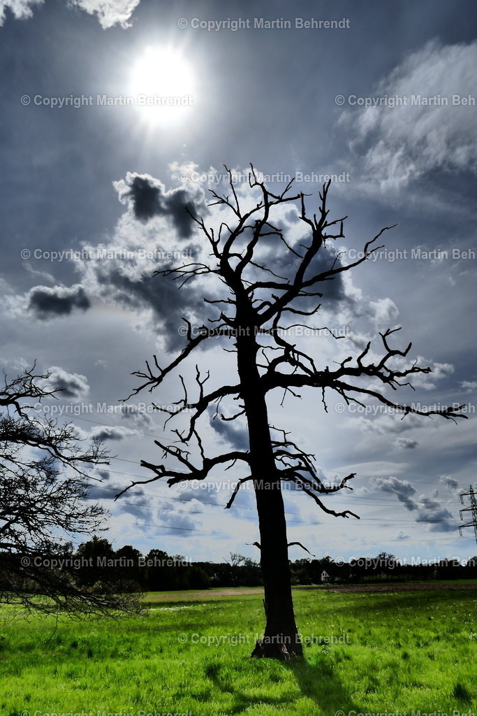 P1020138 | www.photoklick.de - Realisiert mit Pictrs.com