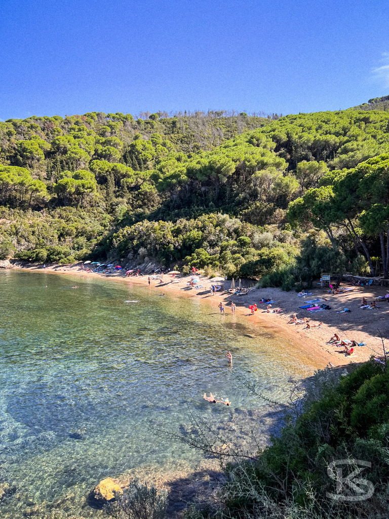 Sommertag am Spiaggia di Istia: Verstecktes Strandparadies auf Elba – Wandbild | Sonnige Ansicht des Spiaggia di Istia auf Elba; ein naturbelassener Sandstrand mit Badegästen, gesäumt von einem dichten, grünen Pinienwald und kristallklarem, flachem Wasser unter blauem Himmel. - Realisiert mit Pictrs.com