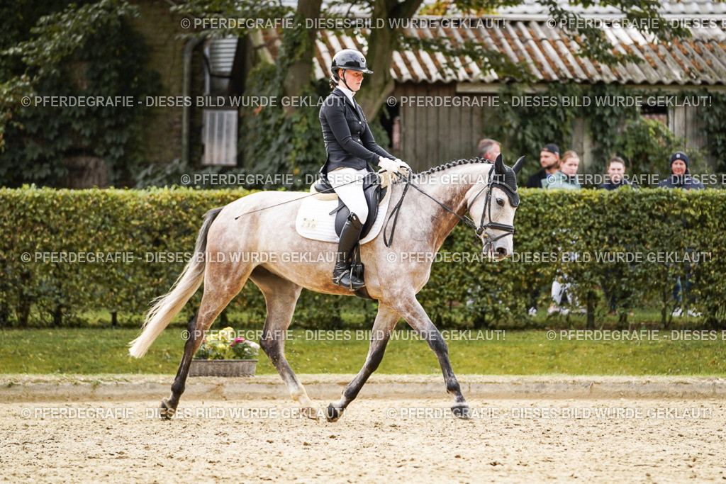 DSC01452 | Pferdegrafie