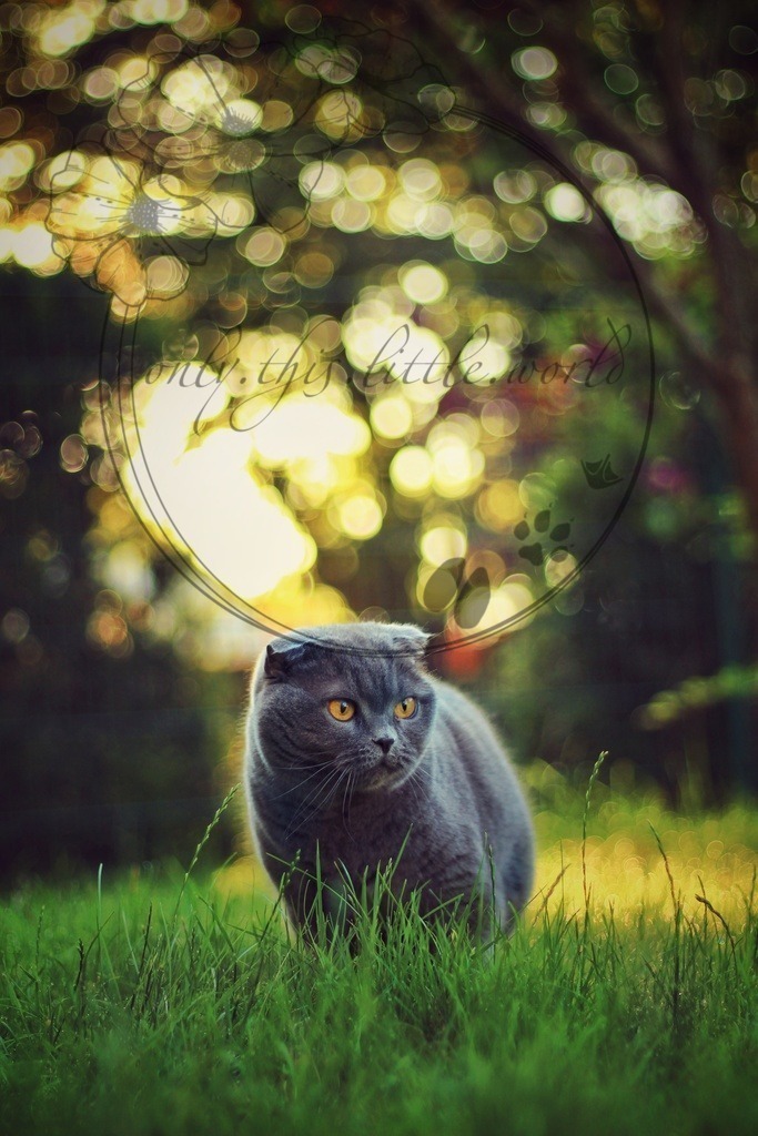 IMG_8455 | only.this.little.world - Realisiert mit Pictrs.com