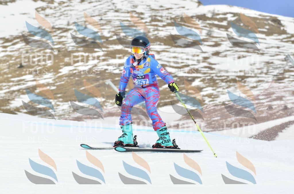 _ELE2778 | holidayphoto