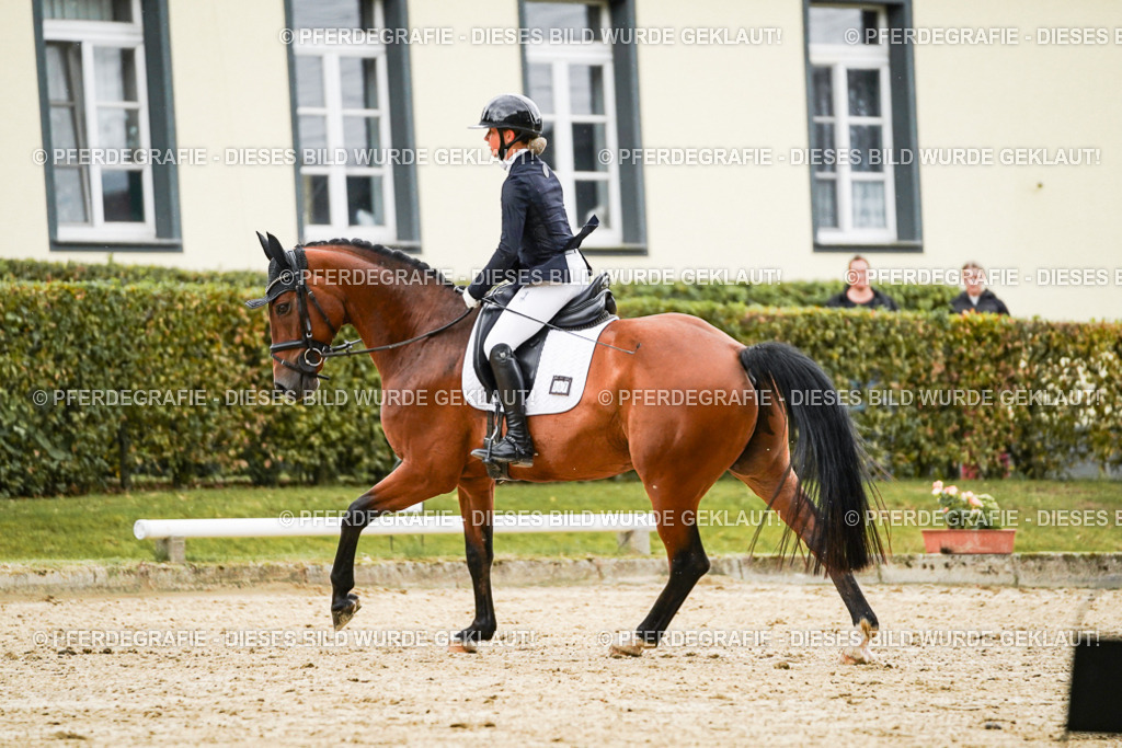 DSC07353 | Pferdegrafie