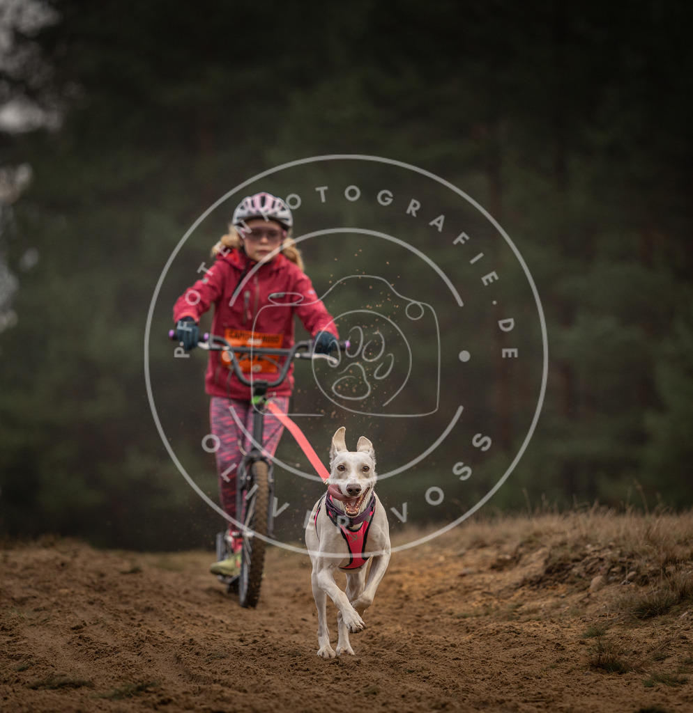 Pfotenfotografie_DV3A5011 | Hundefotografie, Tierfotograf, Pfotenfotografie, Fotoshooting Hund, Hunde Portrait, Hundesport, Hundeportraits, Heideshooting, Hunde, Sportfotograf, Hundefotograf, Turnierhundsport, THS,  - Realisiert mit Pictrs.com