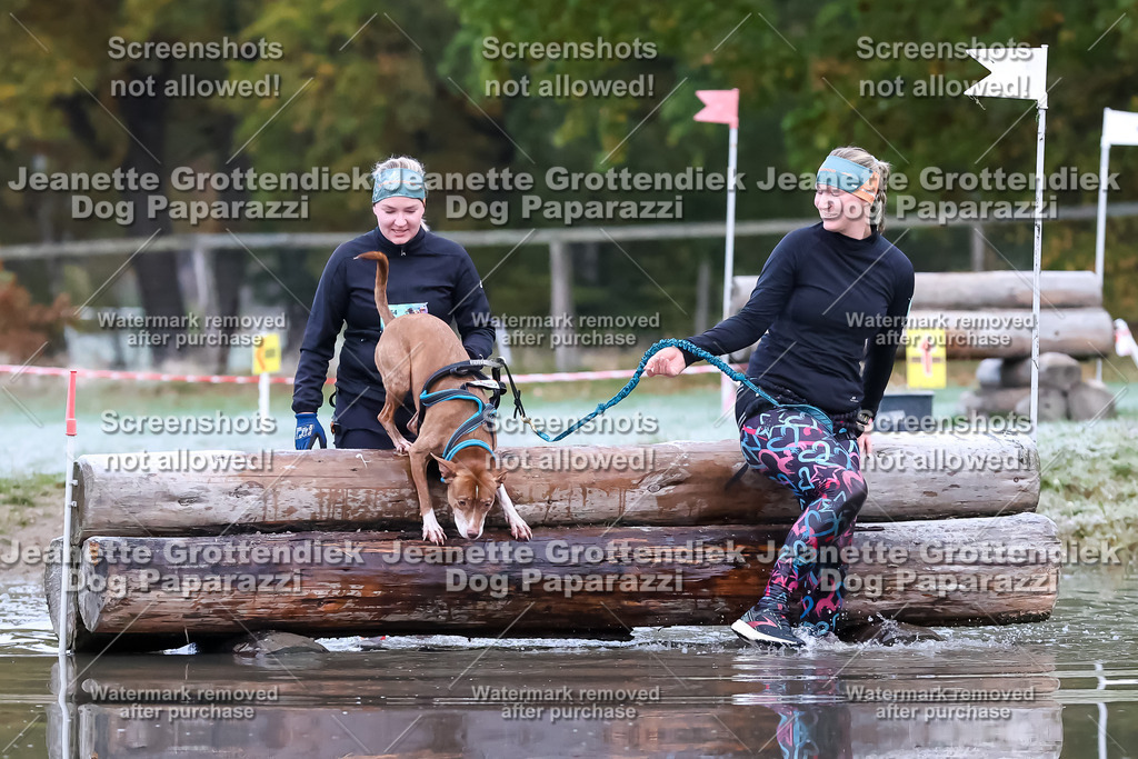 Dog Paparazzi - Strongdog 10-25-6084 | Dog Paparazzi Jeanette Grottendiek Fotografie & Videografie - Realisiert mit Pictrs.com