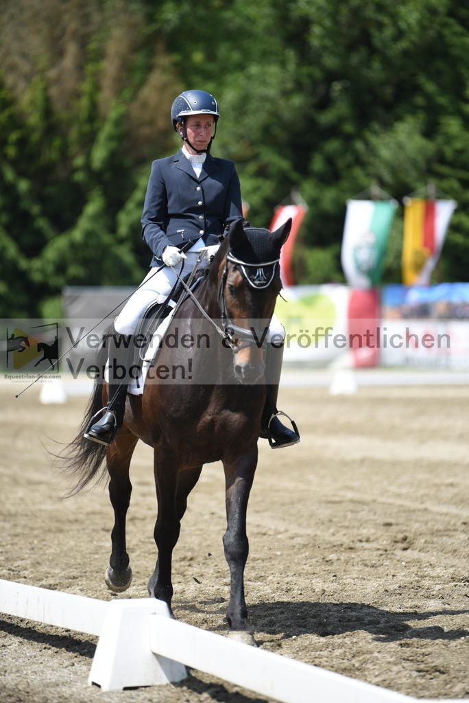 DSC_8956 | equestrian-live-com