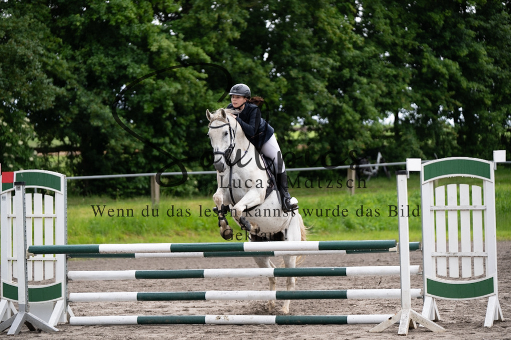 A7V04019 | Pferdefotograf