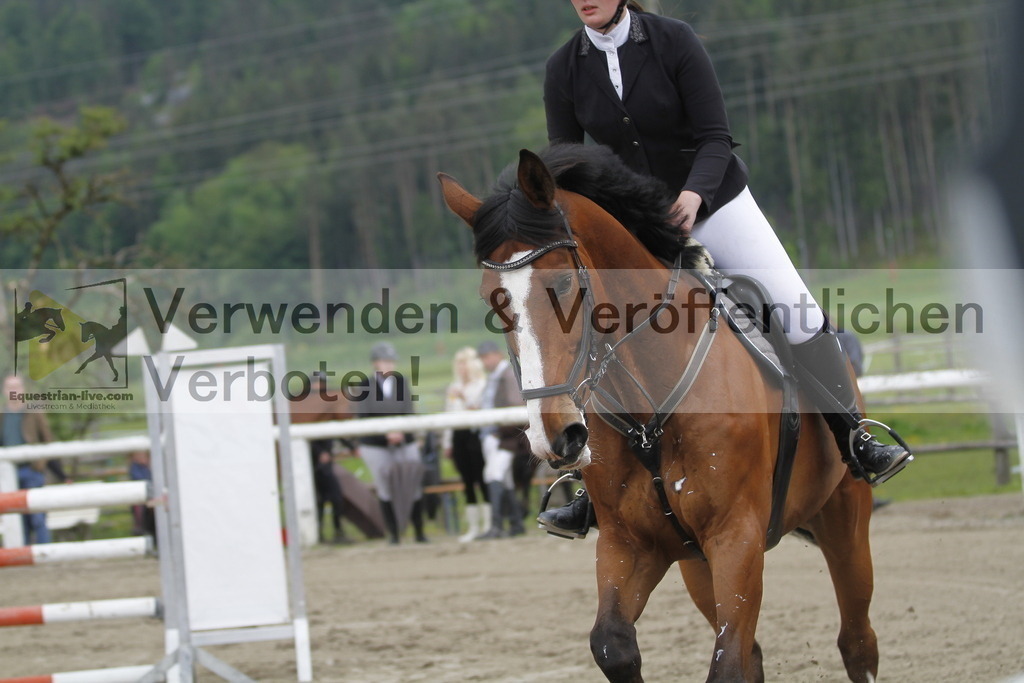 _MG_7918 | equestrian-live-com