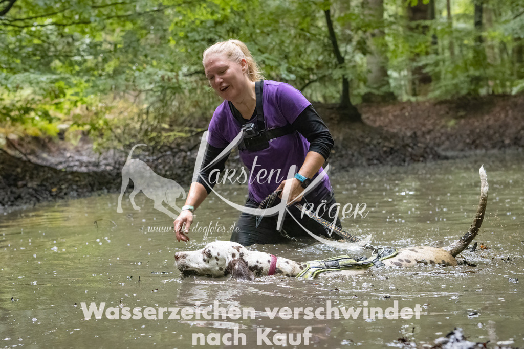 1015_ZZ91934-Bearbeitet | kk-dogfotos