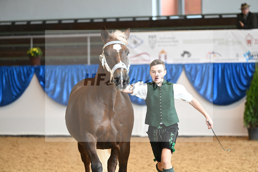 Kat-Nr. 85 Monarchin_Bachmair_53220470 | hf-fotografie - Realisiert mit Pictrs.com