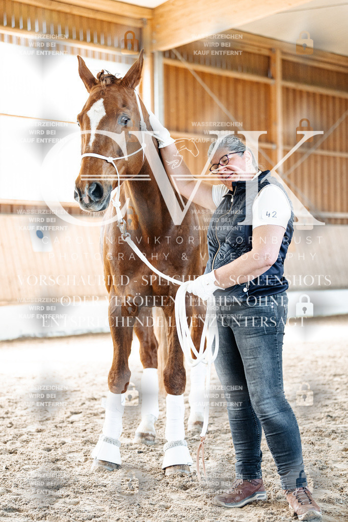 CK906195 | Turnierfotografie Pferdefotografie Trier Rheinland-Pfalz Pferdesport Reitsport Tierfotografie Sportfotografie Pferdevideo Pferdevideografie Equestrianvideography equestrianphotography  - Realisiert mit Pictrs.com