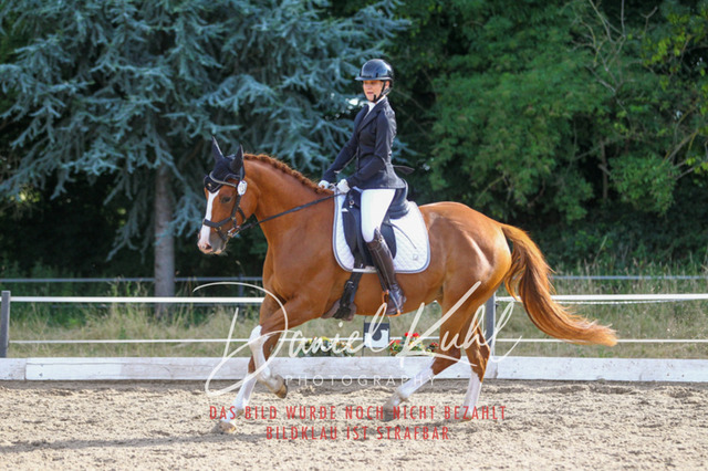 DKP45536 | Turniersportfotografie; Pferdefotografie; Dressurfotografie