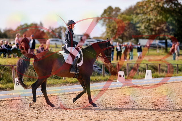 2026_10_03_Siefer-Hof_133824_Z81_95941735 | Professionelle Reitsport-, Turnier- und Eventfotografie von Robert Broda. Galerien mit ausgewählten und bearbeiteten Bildern direkt online ansehen und bestellen.
