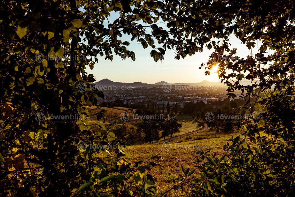 Göppingen im Sonnenaufgang | löwenblicke | shop