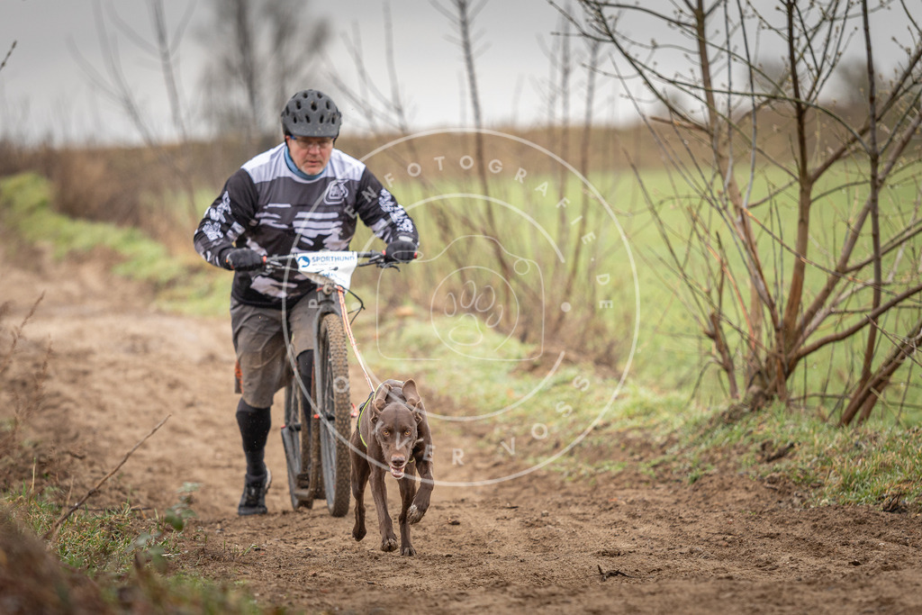 DV3A9269 | Hundefotografie, Tierfotograf, Pfotenfotografie, Fotoshooting Hund, Hunde Portrait, Hundesport, Hundeportraits, Heideshooting, Hunde, Sportfotograf, Hundefotograf, Turnierhundsport, THS,  - Realisiert mit Pictrs.com