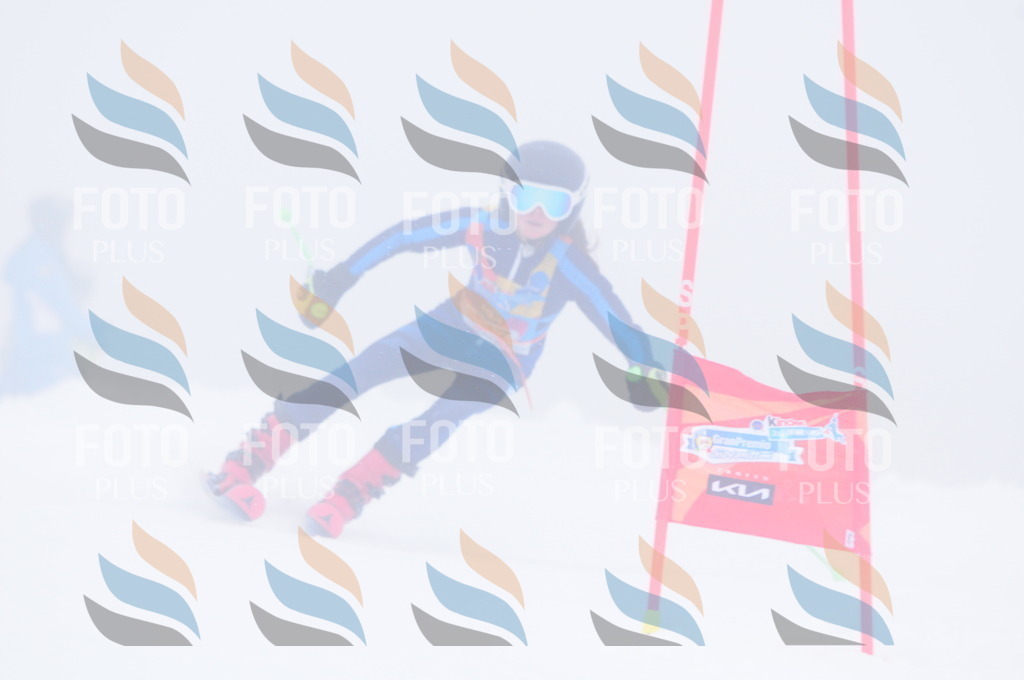 C3609 | holidayphoto