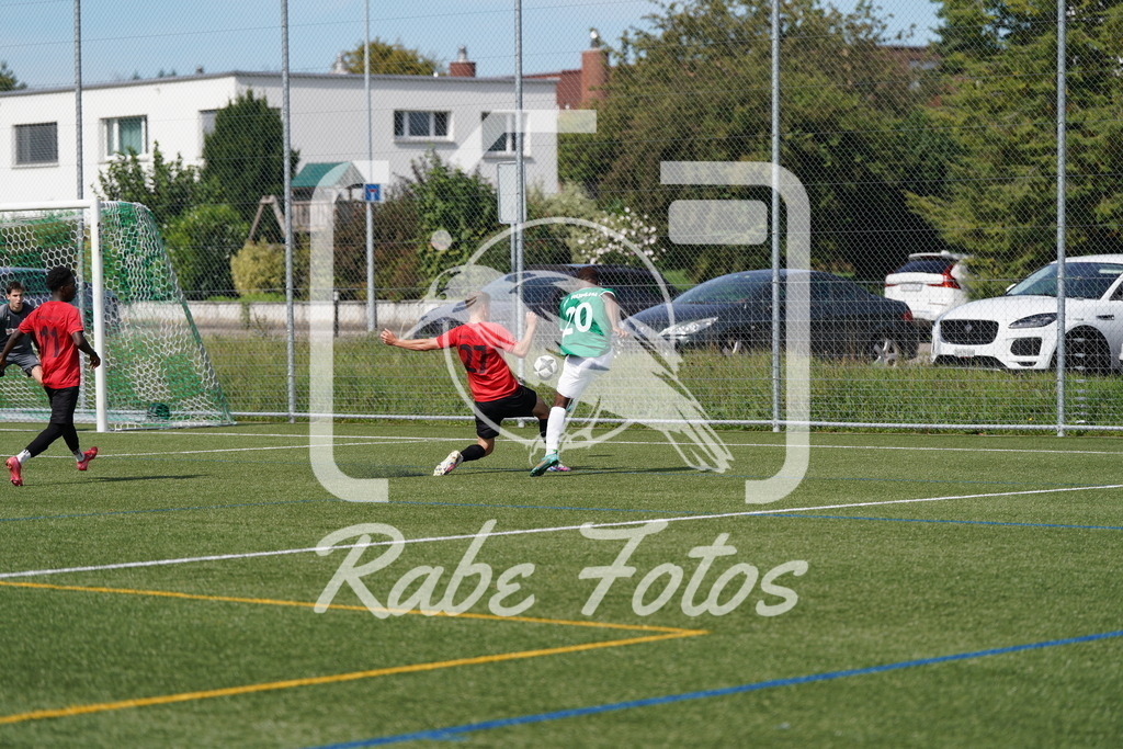 DSC08647 | rabefotos